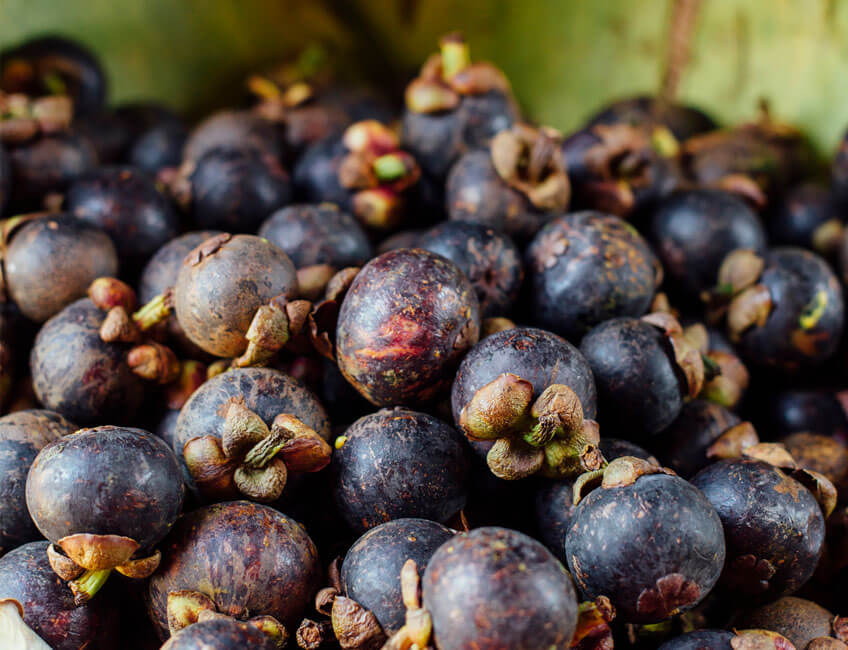Noku Beach House - Mangosteen